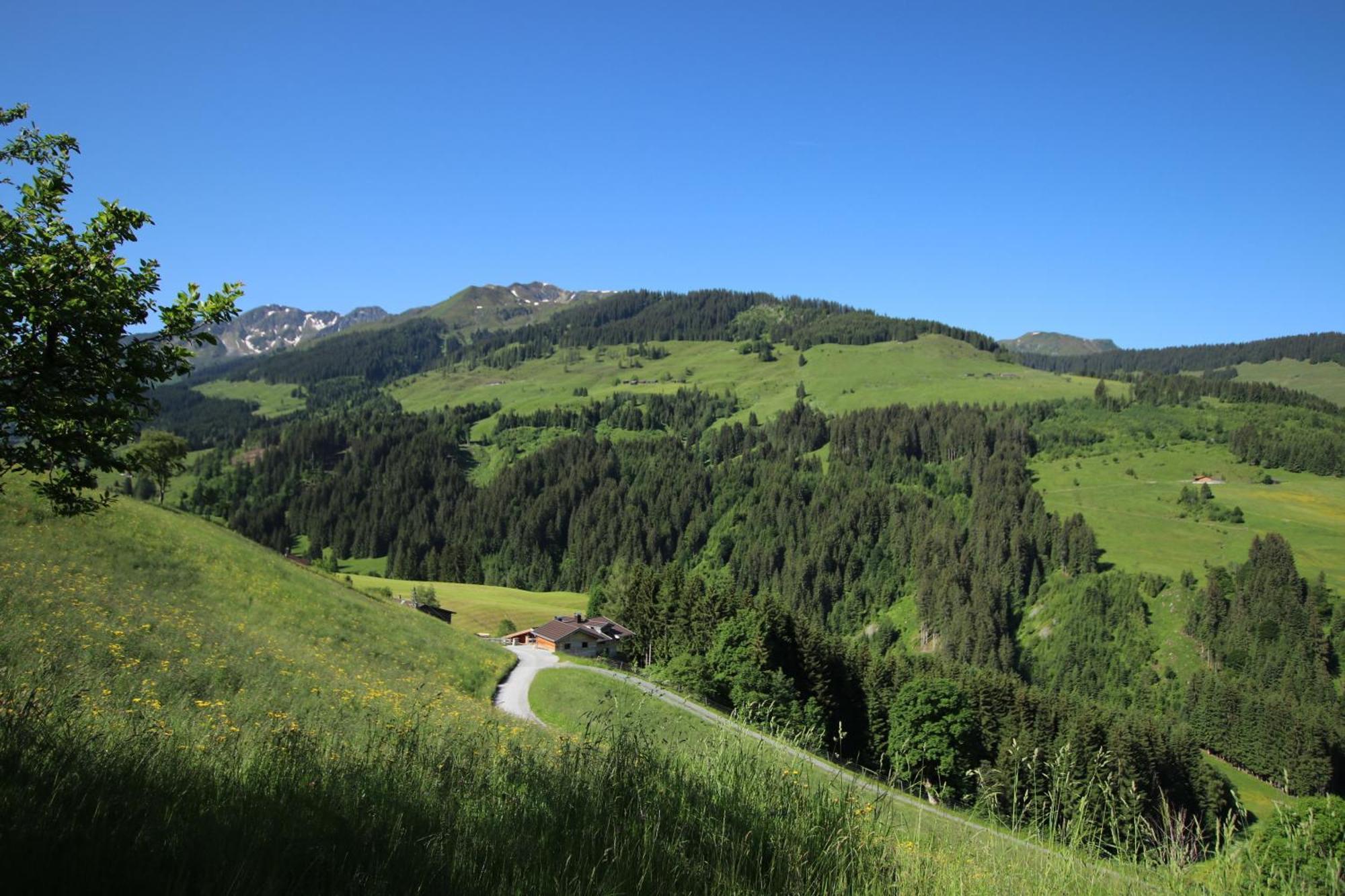 Ferienwohnung Bergpanorama Wild600 Schwarzenau  Eksteriør bilde